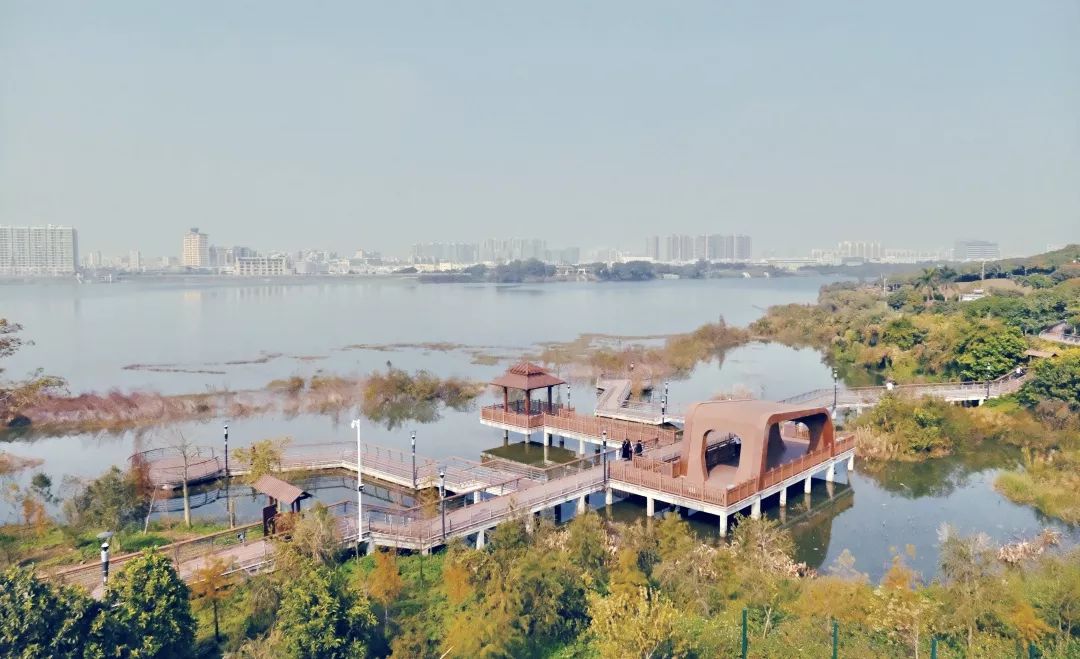 福永地方,这里是深圳宝安