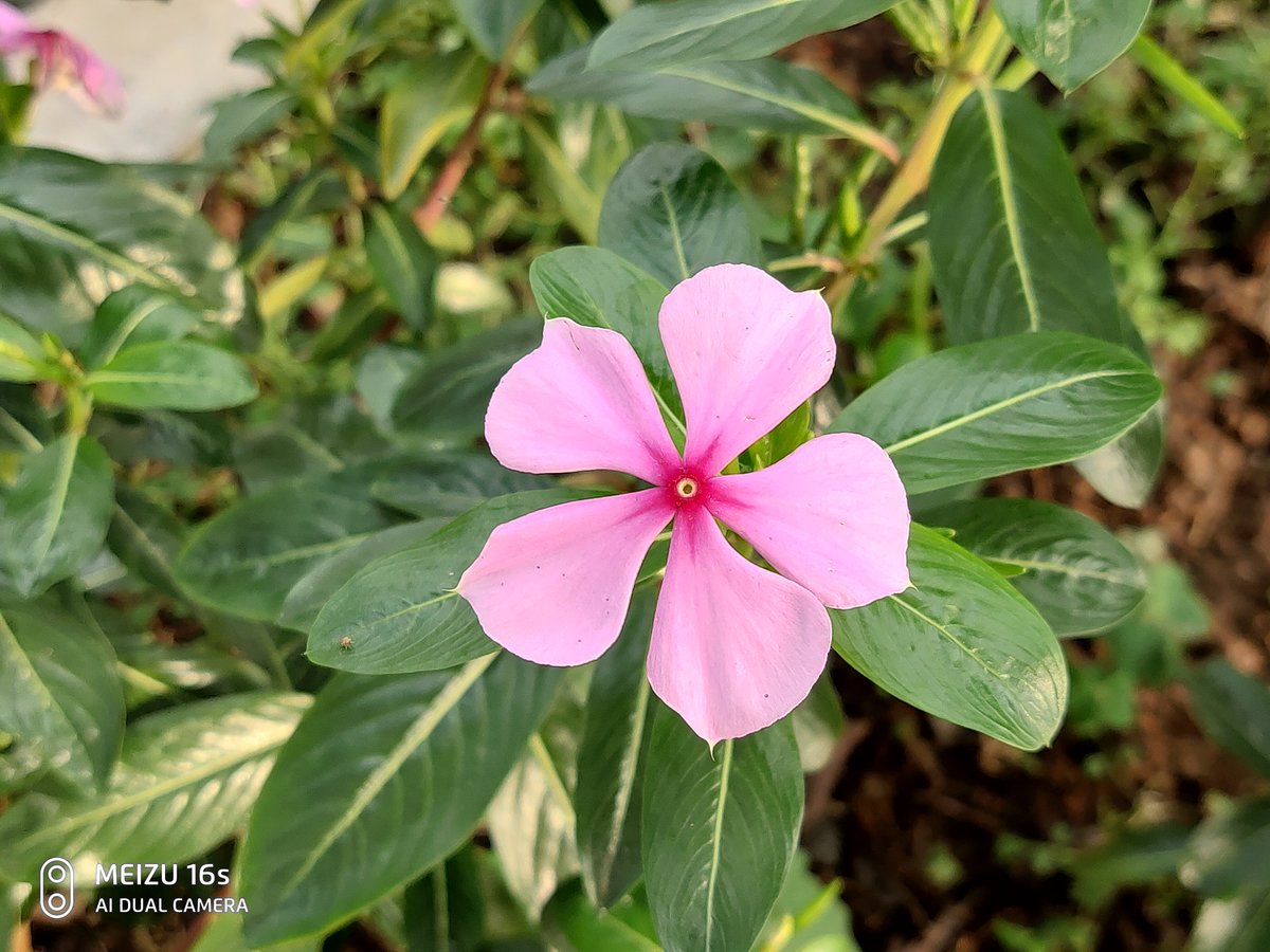 执着于细节打磨，它比前代强太多！魅族16s详细评测