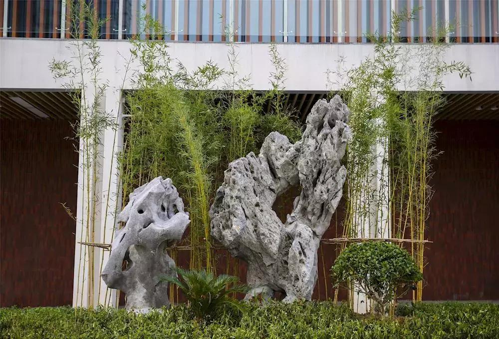 苏州新区实验中学高中有几个校区,苏州新区实验初级中学锦峰路校区