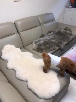 为什么他们心甘情愿做时尚的幸福牺牲者