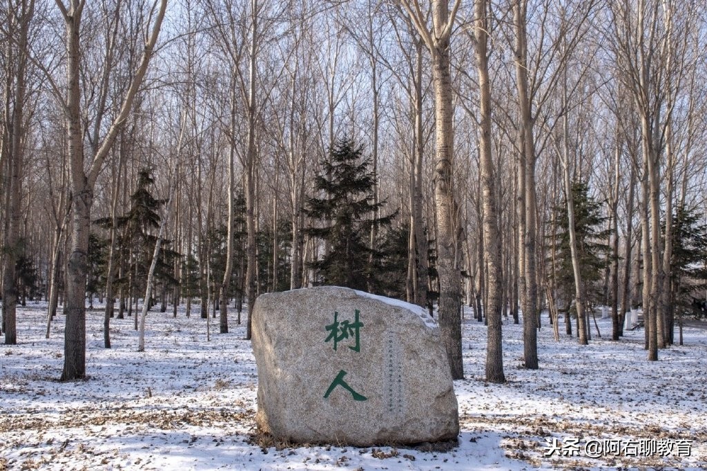 东北地区和西北地区高校对比,东北大学和大连理工谁更出名