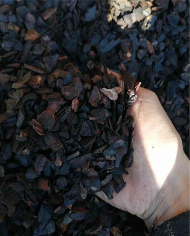 新买的兰花苗怎么样上盆,兰花上盆步骤详细演示讲解