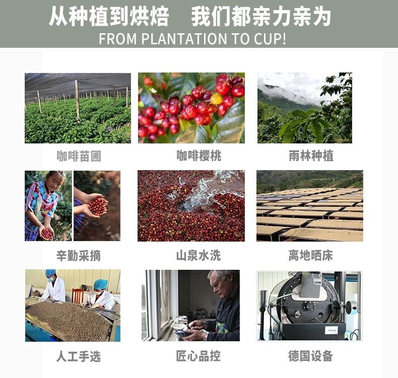 星巴克咖啡成本低为什么价格高,星巴克最便宜咖啡多少钱一杯