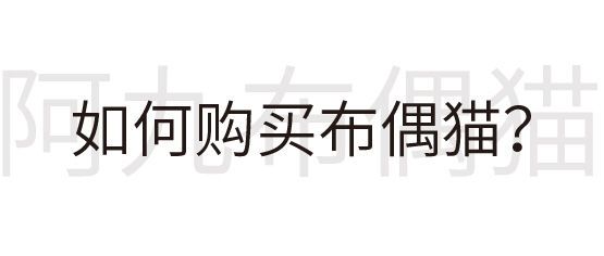 布偶猫舍推荐买什么猫粮,正规布偶猫舍推荐及其地理位置