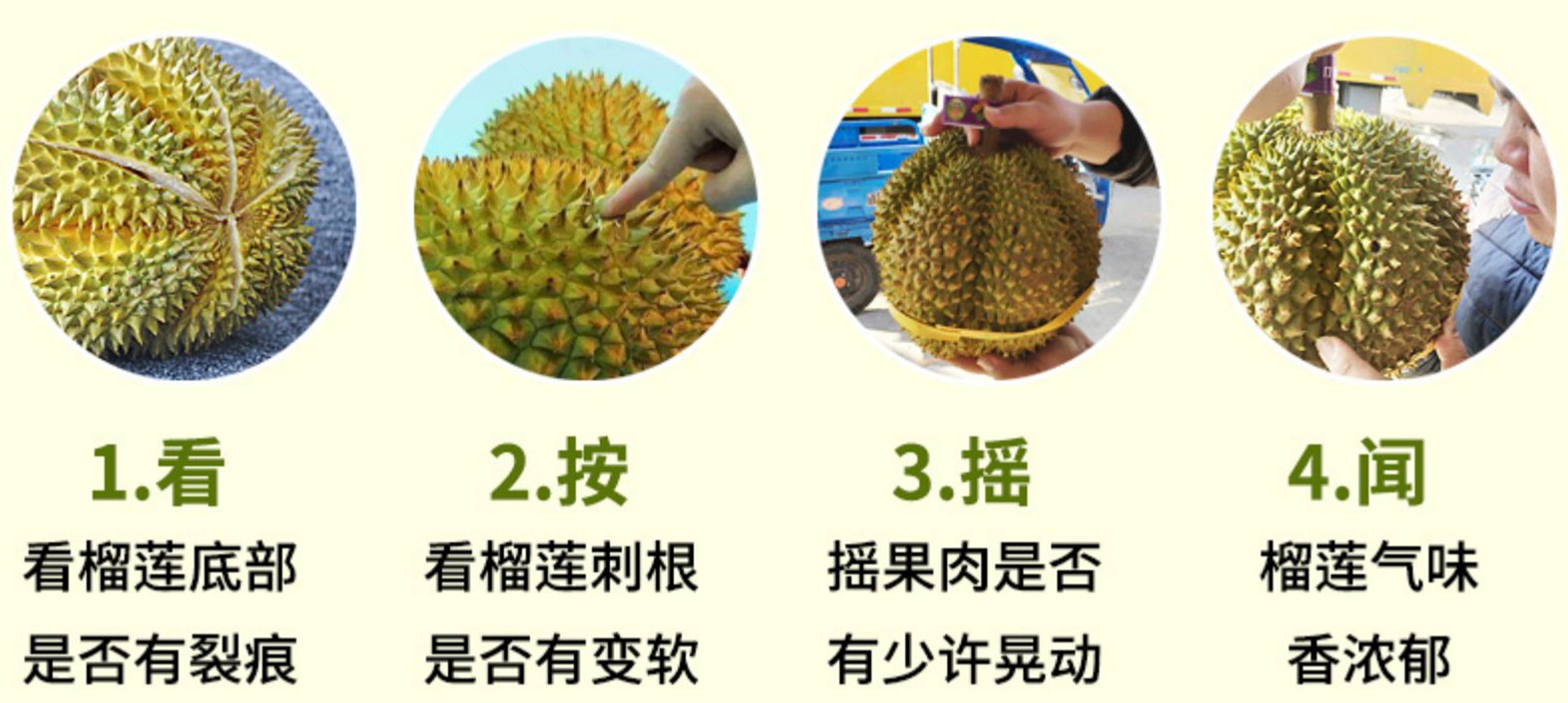 泰国榴莲直采,青尼榴莲抖音团购