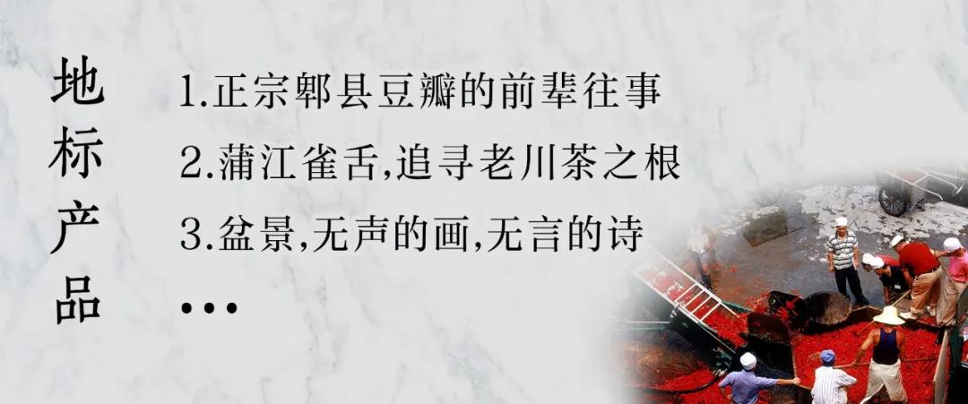 读城记成都篇,宋代成都遗迹