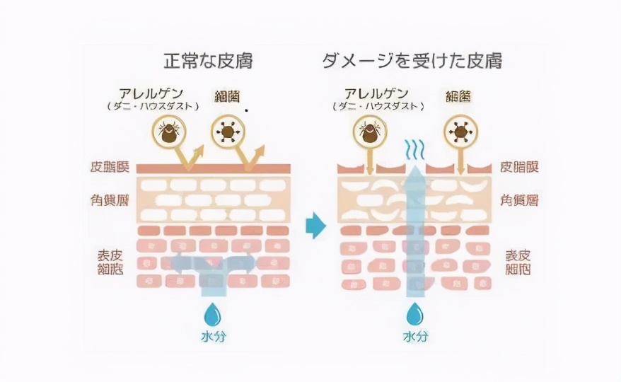 怎么养肤让皮肤细腻又白,如何让皮肤变得嫩白水润好看