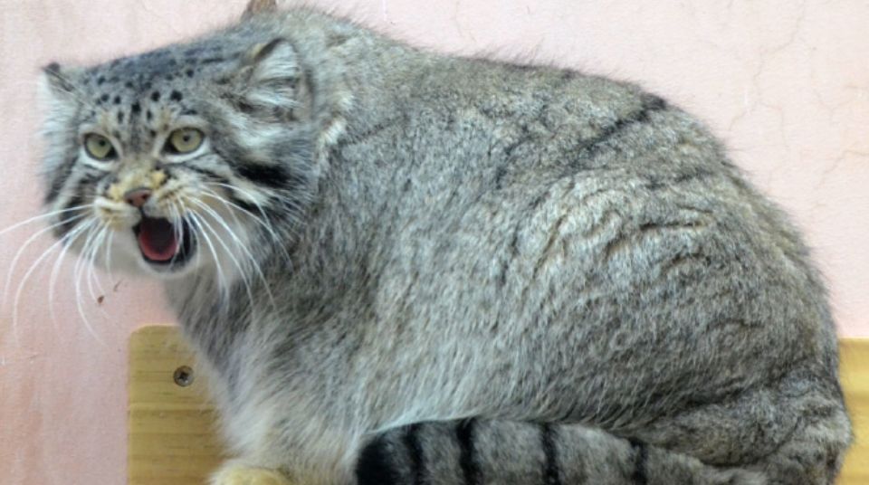 推荐最好玩的乐园,有没有值得玩的地方推荐一下