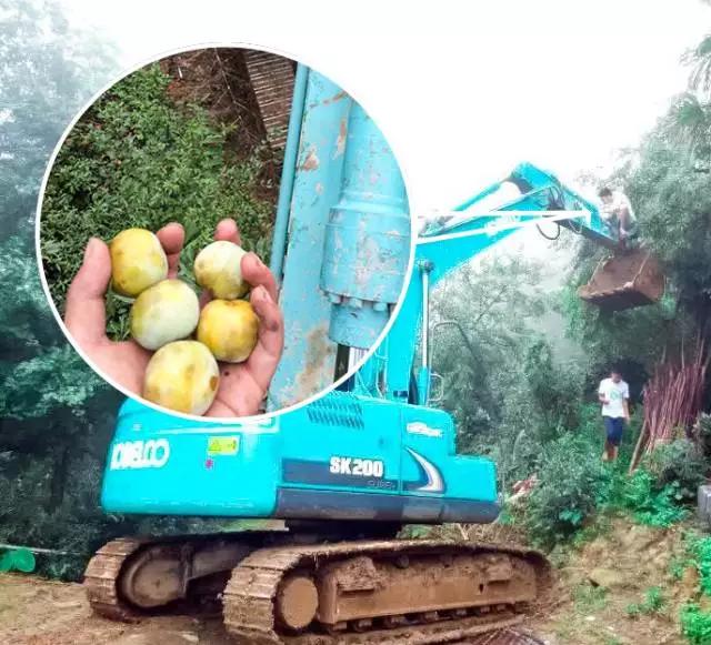 开挖机到底有没有必要,有谁能够理解开挖机的悲哀