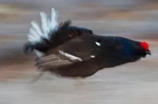 哈哈哈哈哈哈我笑到我妈把鞋塞我嘴里