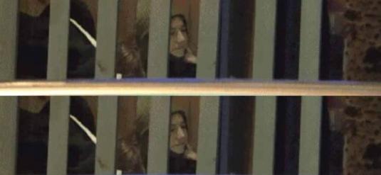 赵薇和友人聚餐,赵薇吻戏片段