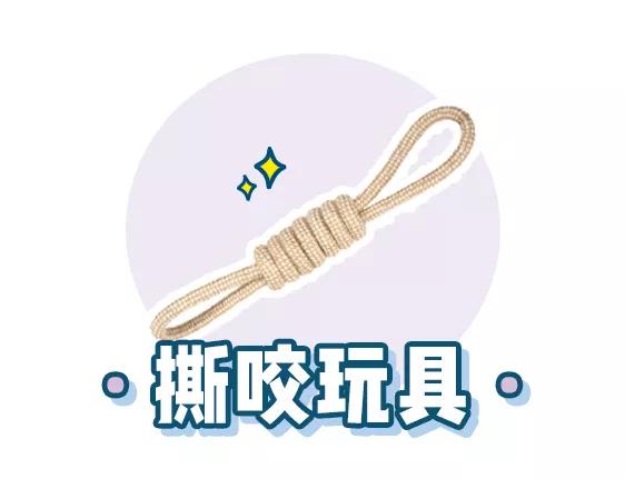 萌新应该养什么便宜宠物狗,萌新怎么入门宠物技能