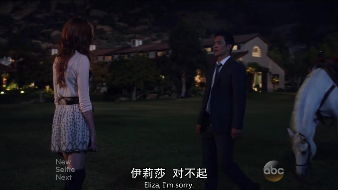 美剧再造淑女,美剧推荐高甜再造淑女