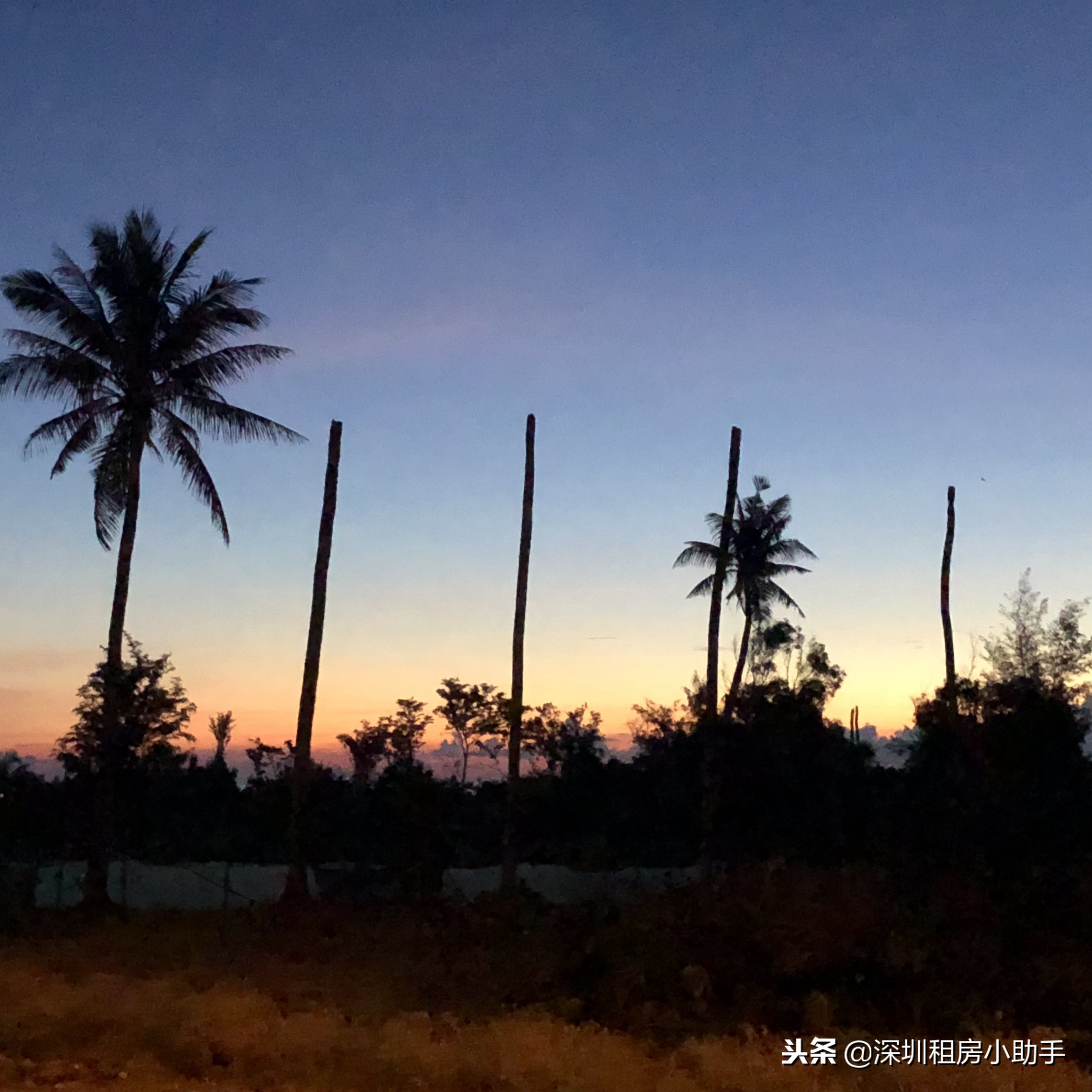 越南自由行攻略七日游,越南自由行美奈攻略
