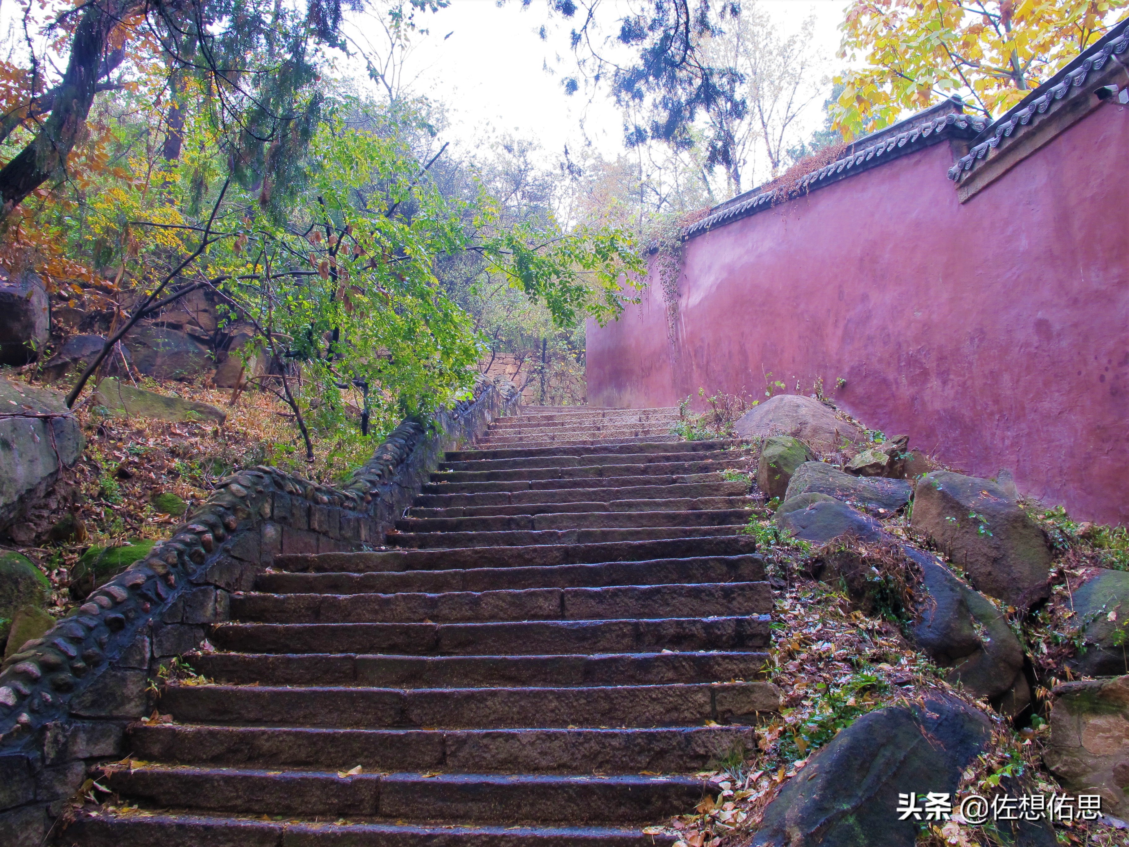 泰安扇子崖免门票吗,扇子崖门票多少钱