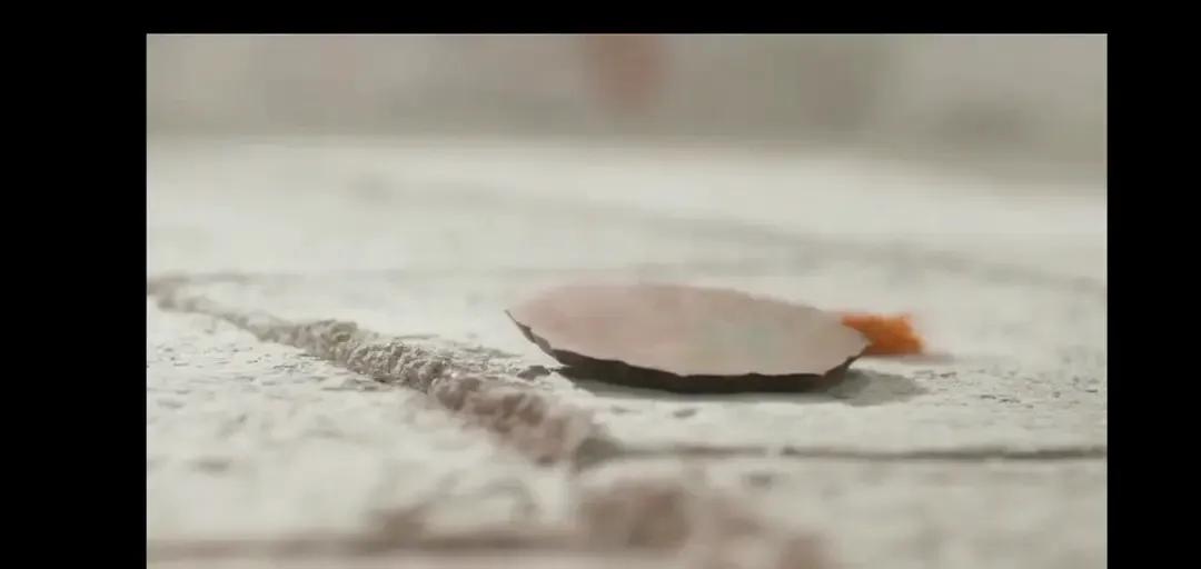 《三生三世十里桃花》名场面—素素跳诛仙台