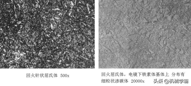 马氏体、奥氏体、珠光体，20种材料彩色金相，带你轻松识别