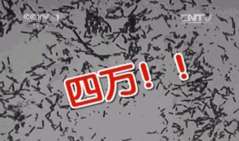 去角质的搓澡巾,加厚去角质搓澡巾