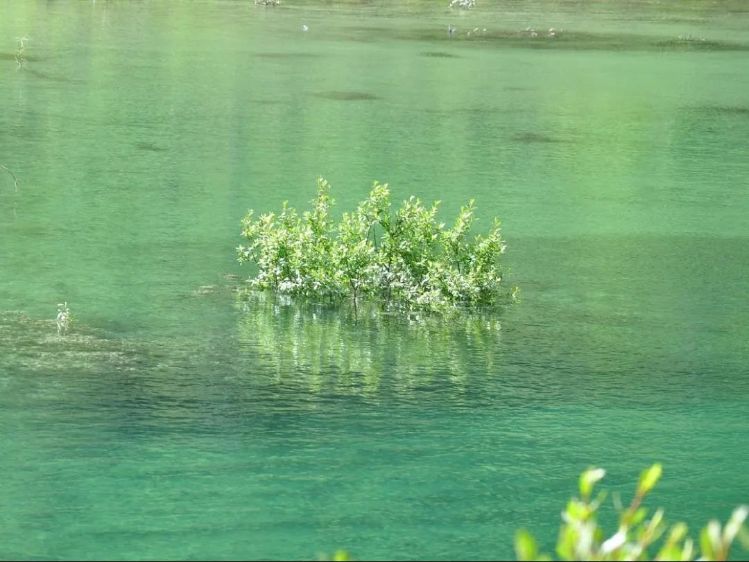 去稻城亚丁要经过哪些地方,去稻城亚丁旅游必备什么条件呢