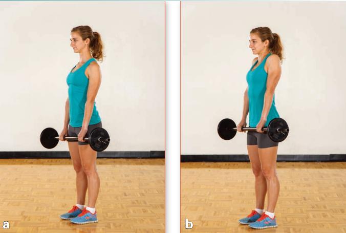 力量训练一周6练训练计划,一天练三个部位的力量训练