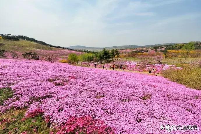 大连旅游必去景点路线推荐,大连最佳的旅游路线