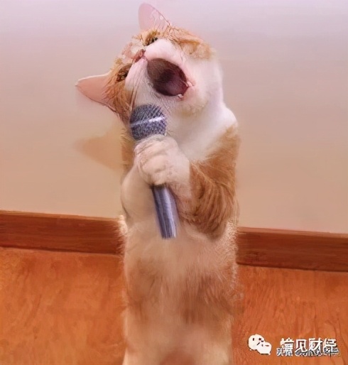 当一个婚骗，骗上了一个调查记者