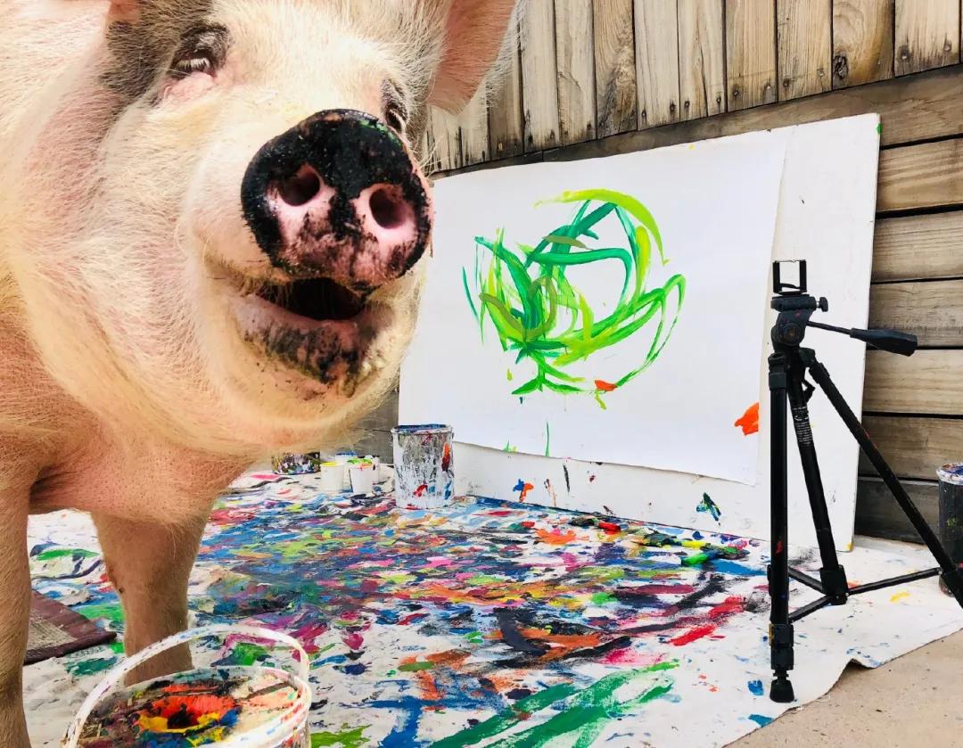 老鼠画画超简单,老鼠画画作品