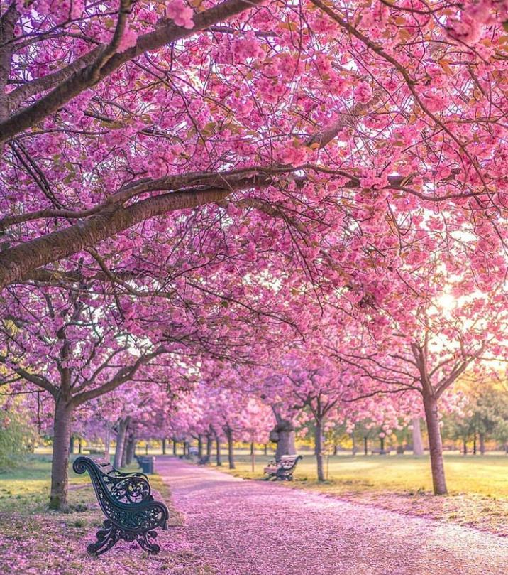 英国景色最好的大学,英国学费最便宜的十所大学