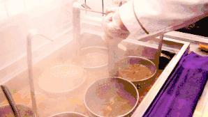 川魂帽牌货冒菜,第一口就要勾走你的魂~