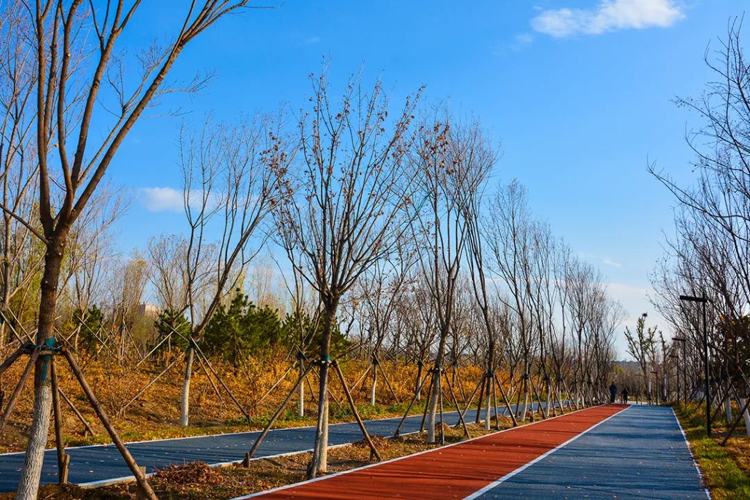 春意盎然北京五大公园,北京区级综合性公园