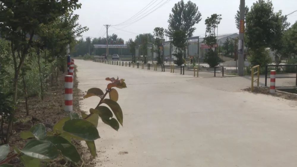 孝昌农业发展现状简介,稻虾第一村产业示范园