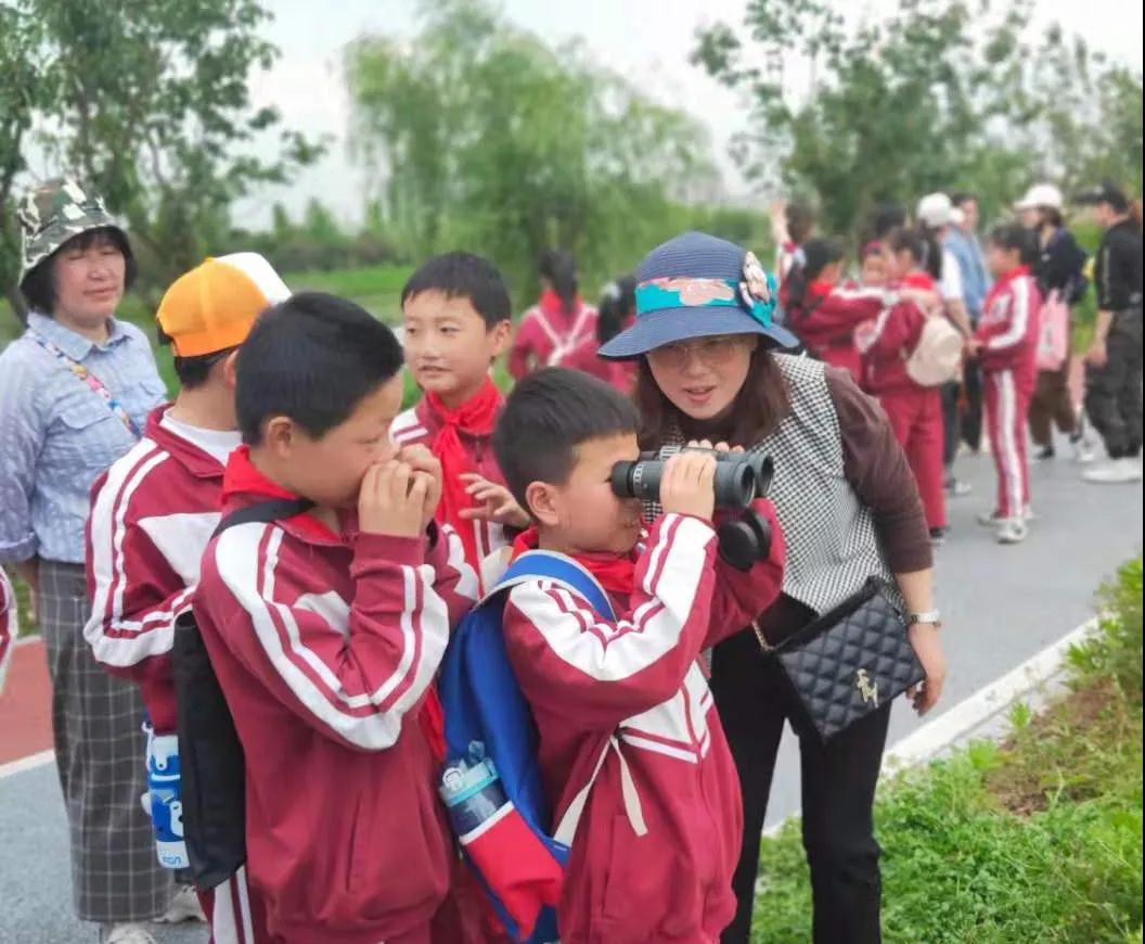 爱鸟保护野生动物,安徽平天湖国家湿地公园