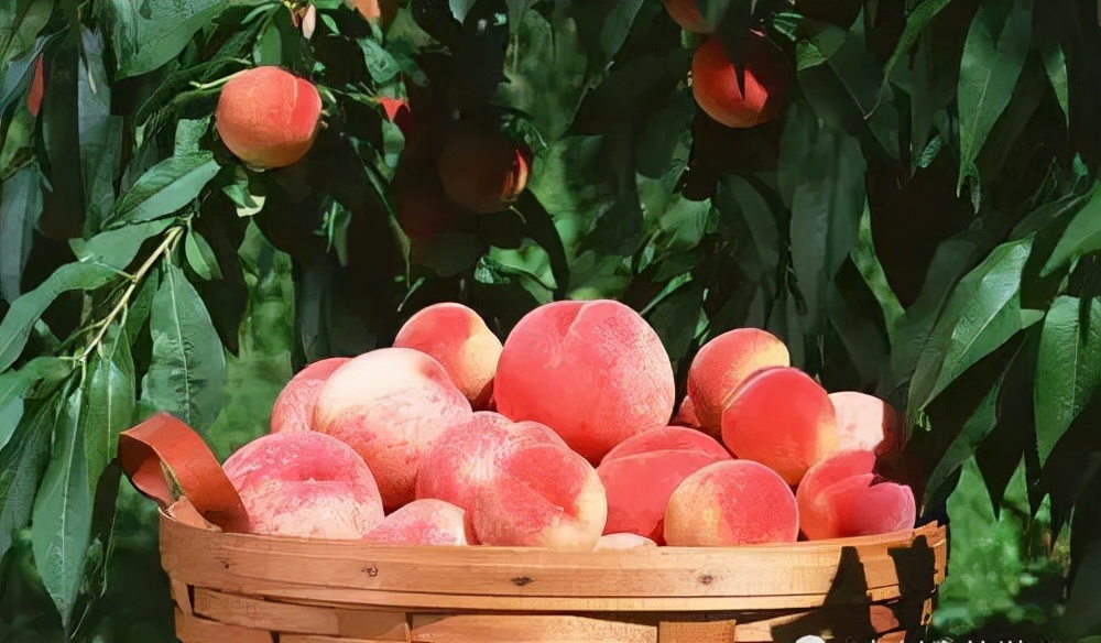 沂水县百强县城排名,沂水全国百强县排名