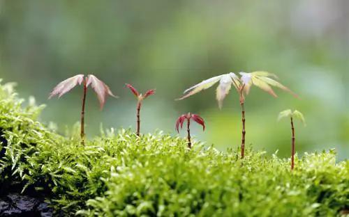 有种感觉叫心照不宣,有一种控制不住自己的感觉