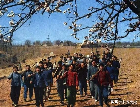 知青往事50年后回知青点,知青点的青春回忆