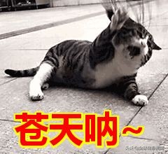 泰国征兵美女视频大全,泰国征兵现场女神