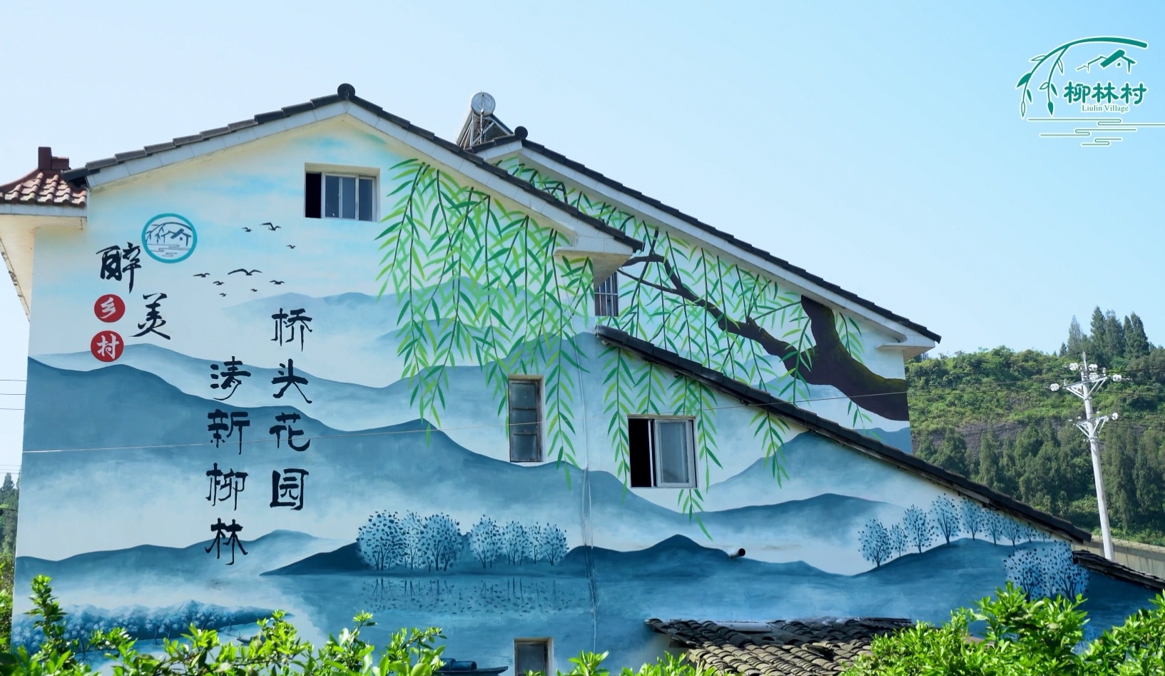 我是支部书记｜“灰姑娘”支书的美丽梦想