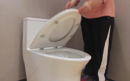 恒洁超旋风坐便器冲力测试,恒洁坐便器普通和超旋风的区别