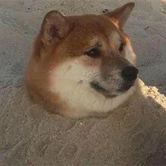 讲了一个悲伤故事,讲一个悲伤的故事吧