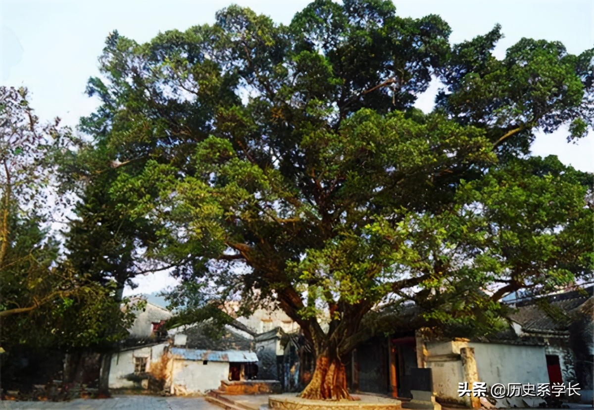 古代的避雷针没接地,古代建筑物是怎么避雷的