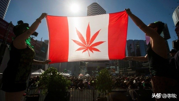 到加拿大打工的利弊,到加拿大打工靠谱吗