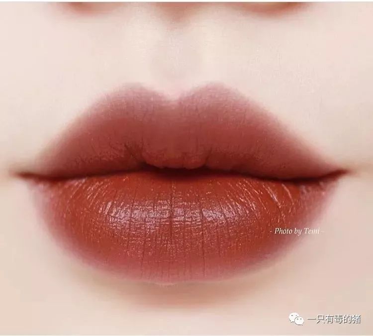 10支大牌口红必买色号,秋冬必备36支棕色调口红合集拿去