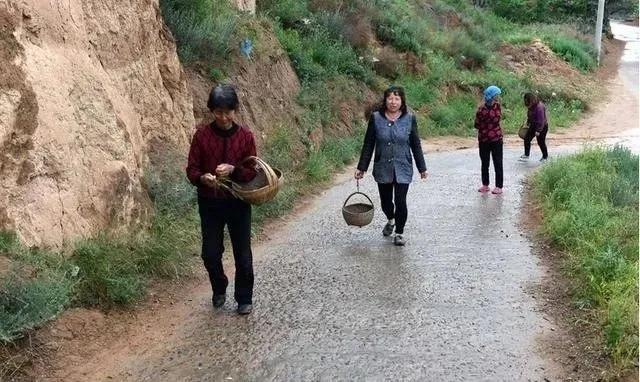2020年双闰年双闰月是怎么回事,今年闰月双春年阴雨多吗