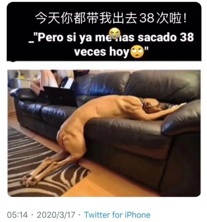 全球各地放松疫情限制,全球各国最新防疫政策