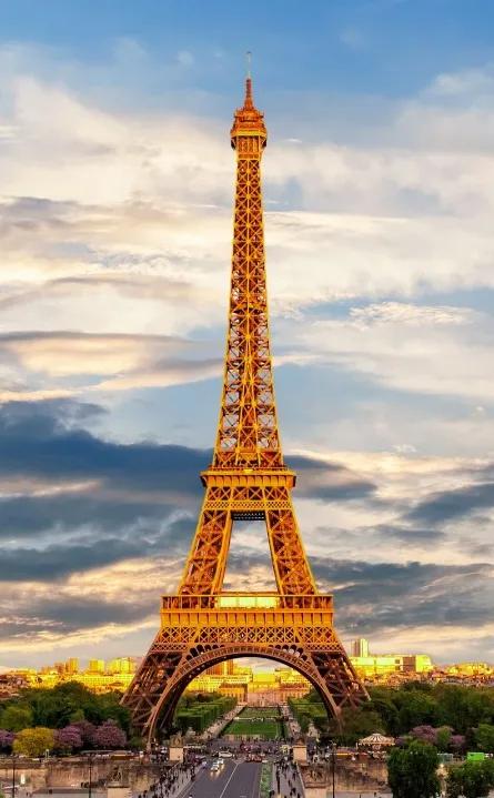 法国美食中国美食,法国美食和中国美食