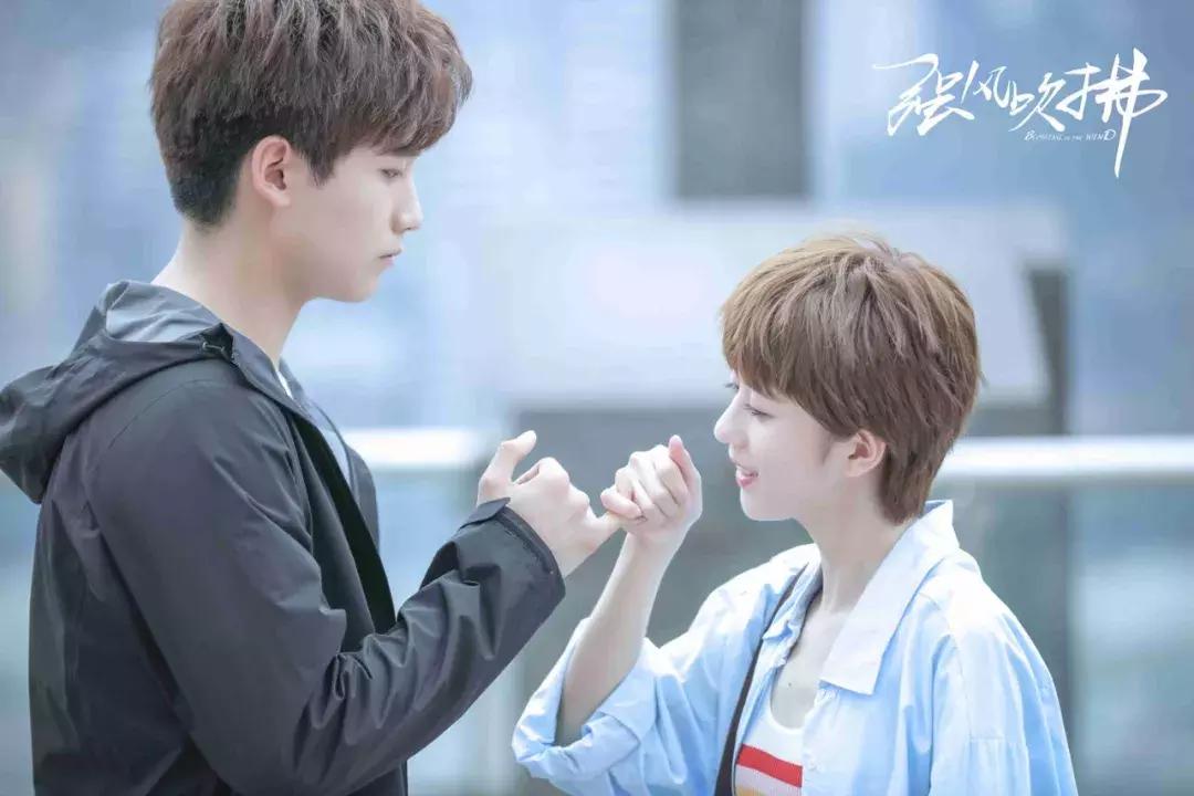 专访光芒影业CEO高铭谦：《强风吹拂》这部青春剧有啥不一样？