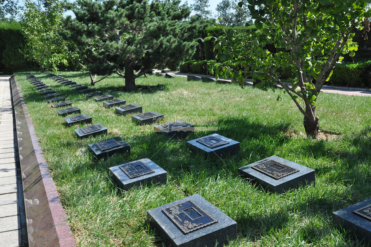 骨灰多年后会变成什么样,骨灰长时间会变成什么样