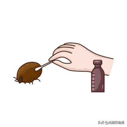 夏季炎热,狗狗便血而亡,元凶藏在这里!你家狗也会有