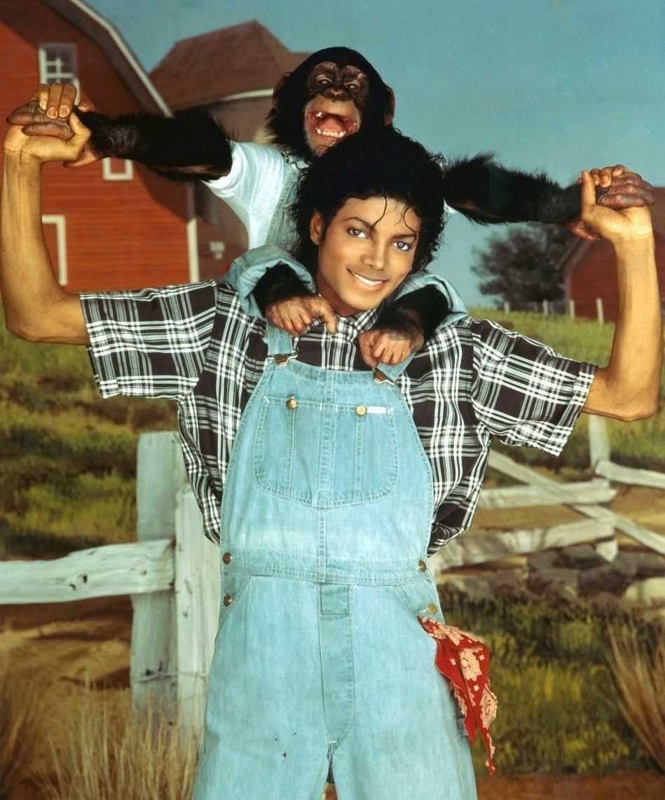 迈克尔杰克逊逝世12周年纪念日,迈克尔杰克逊逝世前12小时