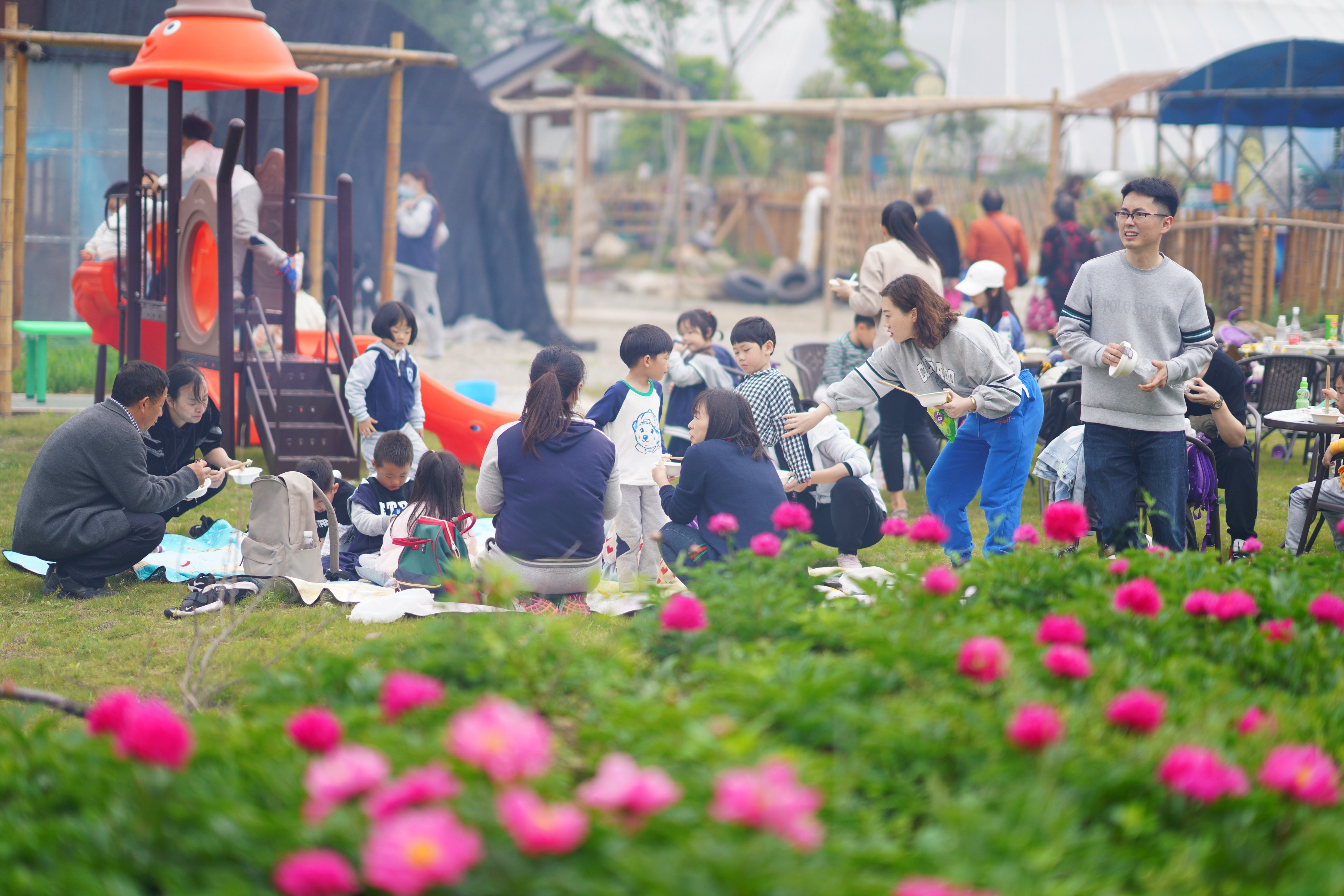 送你一份最地道的苏州逛吃攻略,苏州便宜又好看的民宿推荐